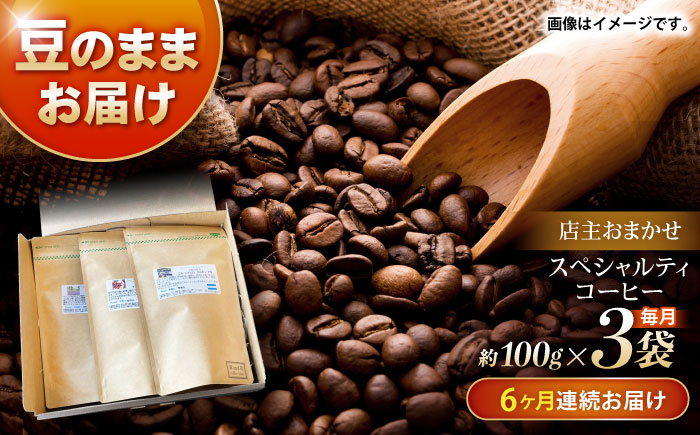 【6回定期便】自家焙煎スペシャルティコーヒーおまかせセット(豆のまま) / スペシャルティコーヒー ブレンド コーヒー / 諫早市 / R and R coffee labo [AHCJ020]