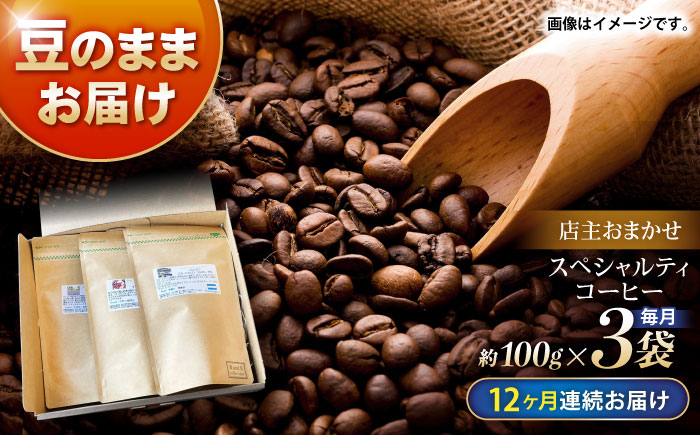 【12回定期便】自家焙煎スペシャルティコーヒーおまかせセット(豆のまま) / スペシャルティコーヒー ブレンド コーヒー / 諫早市 / R and R coffee labo [AHCJ026]
