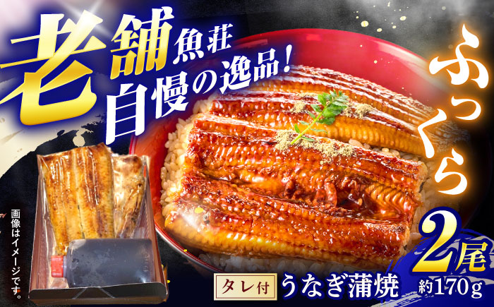魚荘のうなぎ蒲焼き(2尾入り) / うなぎ ウナギ 鰻 蒲焼き 蒲焼 / 諫早市 / 有限会社魚荘 [AHCK002]