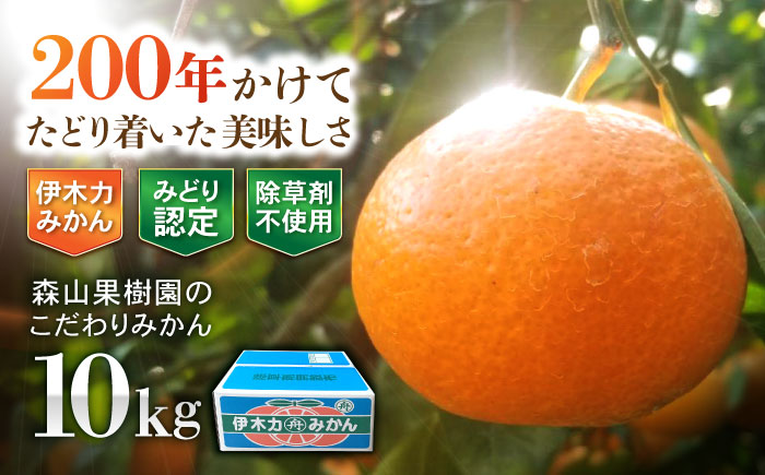 伊木力産 森山果樹園のこだわりみかん 10kg / みかん ミカン 柑橘 伊木力みかん 温州みかん / 諫早市 / 森山果樹園 [AHCO007]
