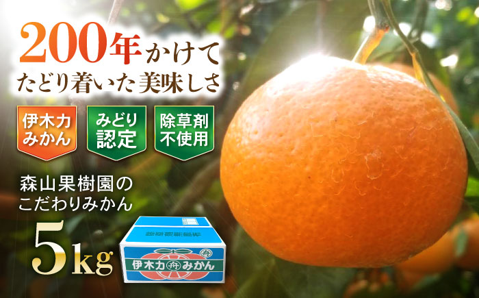 伊木力産　森山果樹園のこだわりみかん 5kg / みかん ミカン 柑橘 伊木力みかん 温州みかん / 諫早市 / 森山果樹園 [AHCO008]