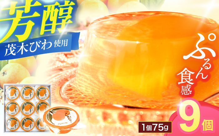 【年内配送】(12/23入金分まで)長崎特産「茂木びわゼリー」(9個入り) / びわゼリー ゼリー びわ ビワ 枇杷 / 諫早市 / 橋本屋本舗 [AHCP004]