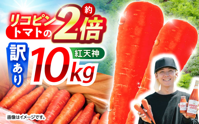 ※【2026年1月より順次発送／先行予約】【訳あり】【甘みと栄養たっぷり！】真っ赤な人参 「紅天神」 10kg / にんじん ニンジン 人参 やさい 野菜 訳あり 訳アリ わけあり ワケアリ / 諫早市 / 滝商店株式会社 [AHCU006]