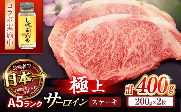 【コラボ実施中】長崎和牛 サーロインステーキ 400g（200g×2枚） / サーロイン さーろいん サーロインステーキ ブロック 2枚 A5 希少部位 / 諫早市 / 野中精肉店 [AHCW005]