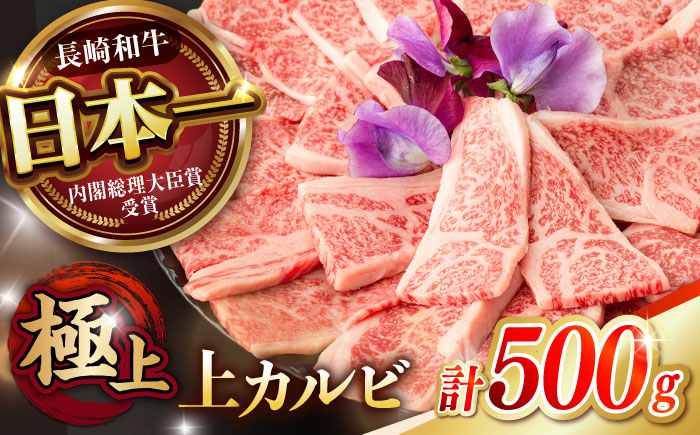 焼肉 上 カルビ 500g / 長崎和牛 A5ランク キャンプ BBQ バーベキュー / 諫早市 / 野中精肉店 [AHCW051]