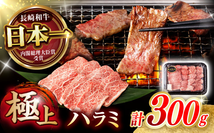 【柔らかさとコクの融合！】長崎和牛 A5 ハラミ 300g / 国産 牛肉 和牛 焼肉 はらみ / 諫早市 / 野中精肉店 [AHCW115]