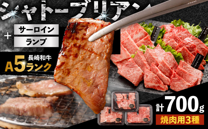 【贅沢の極み】長崎和牛 希少部位 焼肉 3種食べ比べセット 700g(シャトーブリアン サーロイン 各200g ランプ 300g) / 国産 牛肉 和牛 肉 a5 焼肉 やきにく 焼き肉用 セット / 諫早市 / 野中精肉店 [AHCW145]