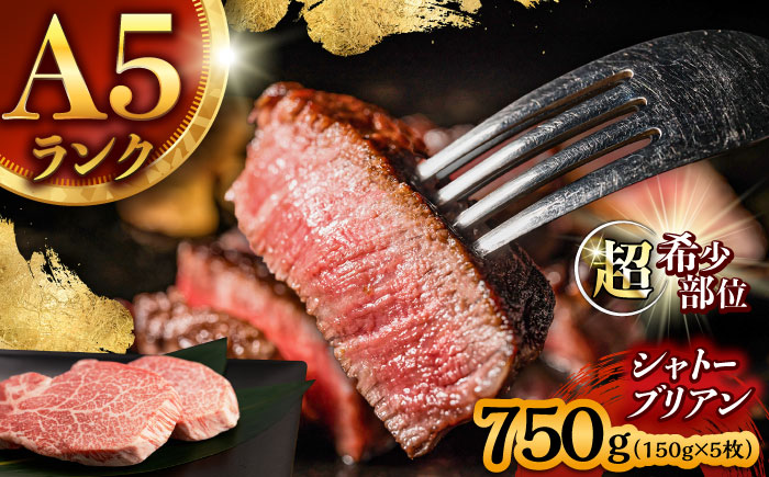 【唯一無二の贅沢！】長崎和牛 シャトーブリアン 750g(150g×5) / ヒレ ひれ ヒレステーキ ステーキ すてーき しゃとーぶりあん / 諫早市 / 野中精肉店 [AHCW151]