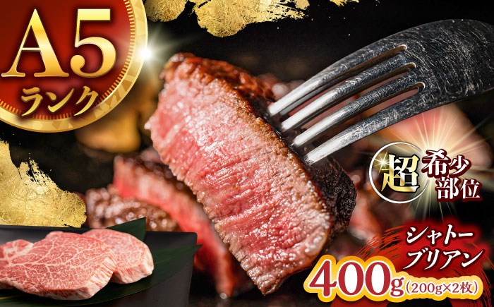 【唯一無二の贅沢！】長崎和牛 シャトーブリアン 400g(200g×2) / ヒレ ひれ ヒレステーキ ステーキ すてーき しゃとーぶりあん / 諫早市 / 野中精肉店 [AHCW152]