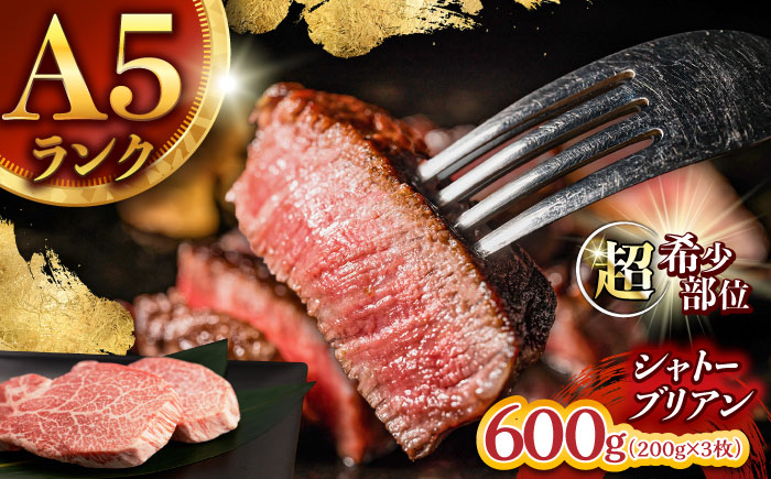 【唯一無二の贅沢！】長崎和牛 シャトーブリアン 600g(200g×3) / ヒレ ひれ ヒレステーキ ステーキ すてーき しゃとーぶりあん / 諫早市 / 野中精肉店 [AHCW153]