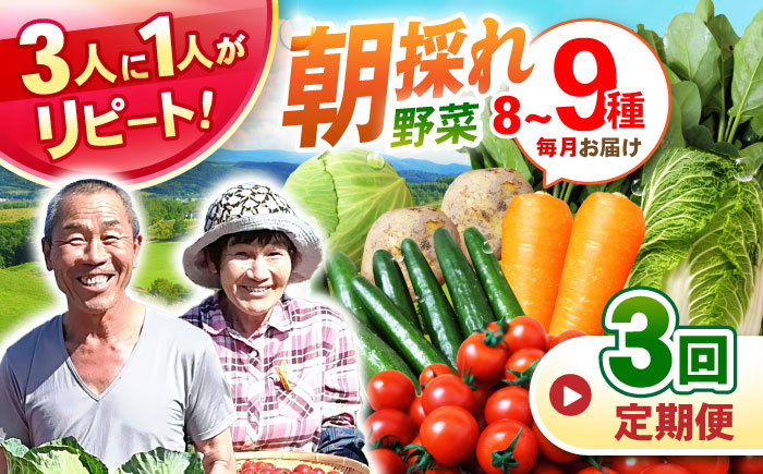 【3回定期便】諫早産野菜の詰め合わせ(8～9品目程度) / 季節 旬 野菜 春野菜 夏野菜 秋野菜  / 諫早市 / 肥前グローカル株式会社 [AHDI001]