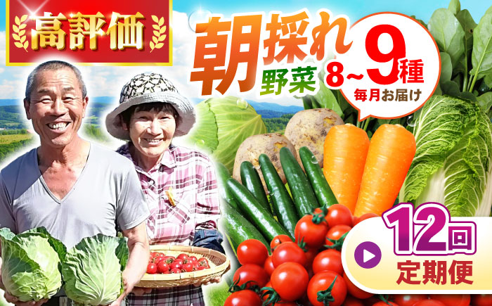 【12回定期便】諫早産 野菜の詰め合わせ 8～9品目程度 / 季節 旬 野菜 春野菜 夏野菜 秋野菜 / 諫早市 / 肥前グローカル株式会社 [AHDI003]