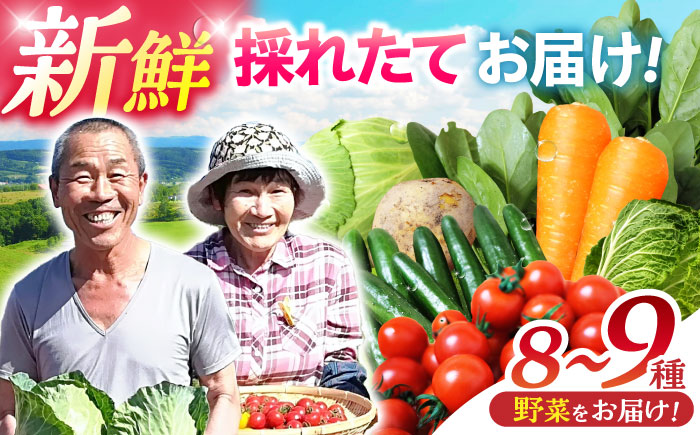 【年内配送】(12/23入金分まで)諫早産野菜の詰め合わせ(8～9品目程度) / 季節 旬 野菜 春野菜 夏野菜 秋野菜  / 諫早市 / 肥前グローカル株式会社 [AHDI004]