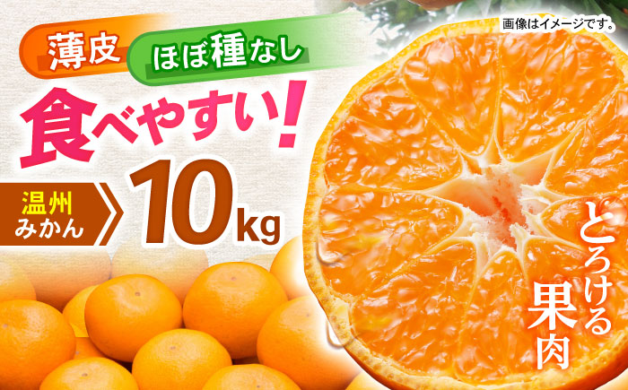 諫早市産 温州みかん 10kg / みかん ミカン 蜜柑 オレンジ フルーツ ふるーつ 果物 くだもの 10kg / 諫早市 / 肥前グローカル株式会社 [AHDI010]
