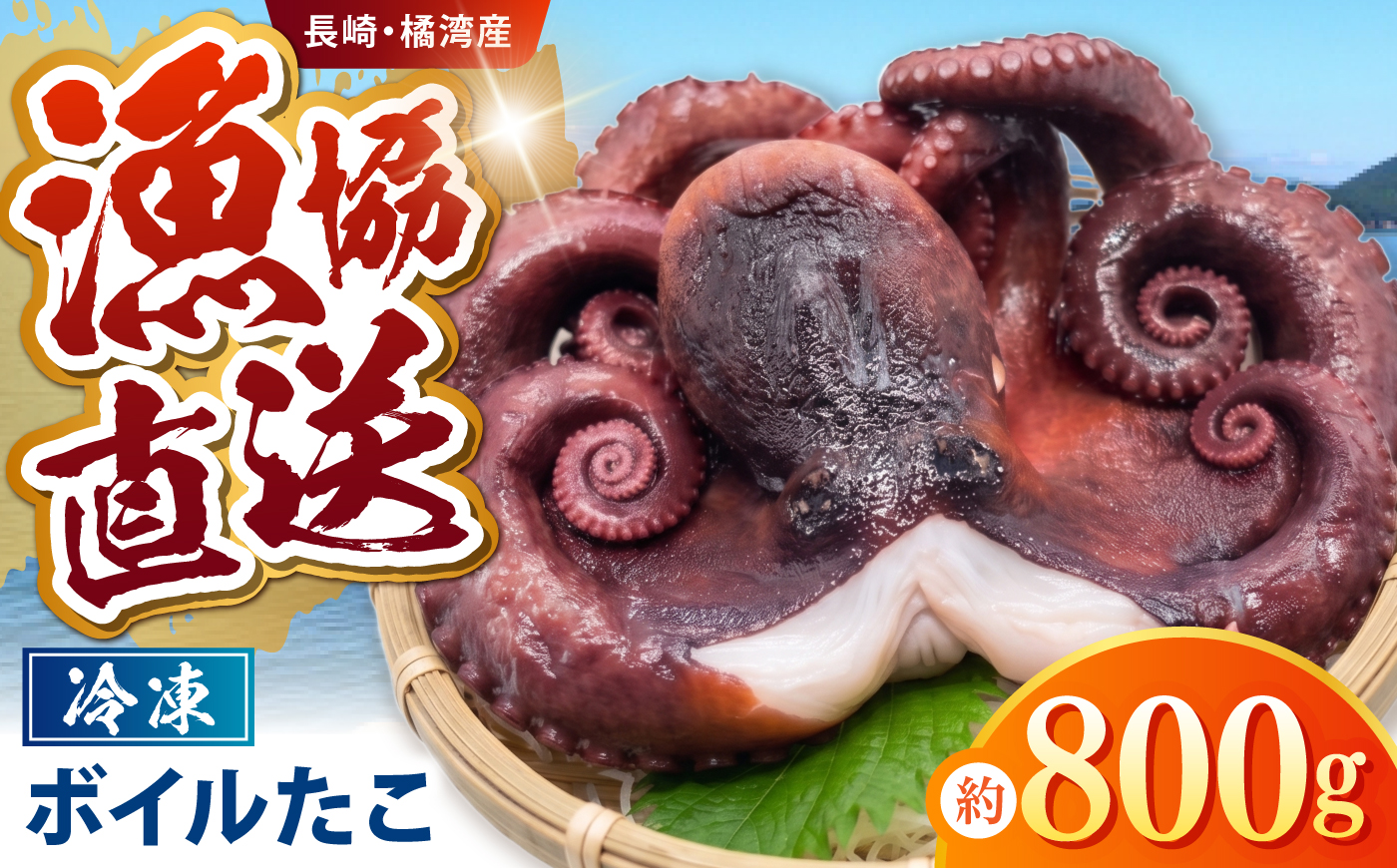 【肉厚、極上の旨味】冷凍ボイルタコ 約800g / タコ たこ 蛸 ボイル ボイルタコ 冷凍 冷凍タコ 丸蛸 丸ごと 産地直送 / 諫早市 / 橘湾中央漁業協同組合 [AHDP006]