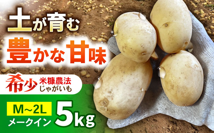 ジャガイモ(メークイーン)　5kg / 諫早市 / 未来ファーム [AHEY004]