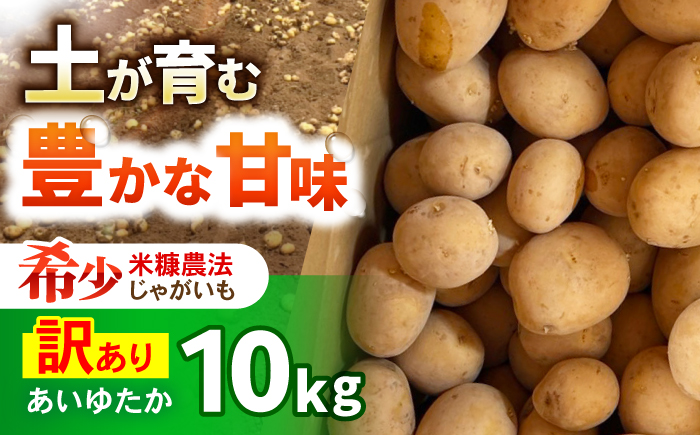 訳ありジャガイモ(あいゆたか)　10kg / 諫早市 / 未来ファーム [AHEY007]