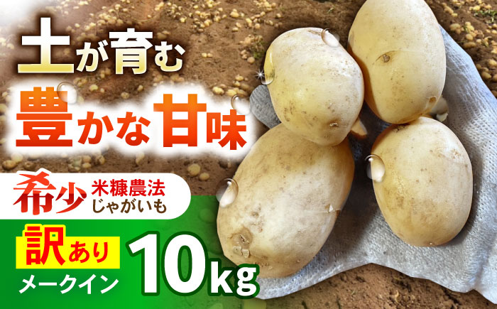 訳ありジャガイモ(メイクイーン)　10kg / 諫早市 / 未来ファーム [AHEY008]