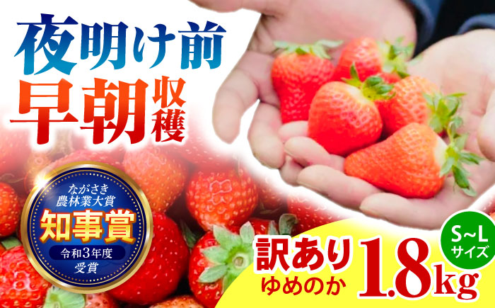 ※【2026年2月発送分／先行予約】【訳あり】【とろける甘さ、弾ける果汁！】いちご「ゆめのか」 S-Lサイズ 1.8kg / 訳あり 訳あり商品 訳あり果物 果物訳あり いちご イチゴ 苺 イチゴジャム / 諫早市 / むらたサービス [AHFA003]