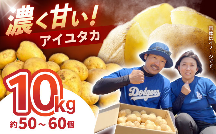 じゃがいも アイユタカ 10kg (S～2Lサイズ/約50～60個) / じゃがいも ジャガイモ ポテト 九州 あいゆたか アイユタカ 野菜 やさい / 諫早市 / スマイルファーム　 [AHFG001]