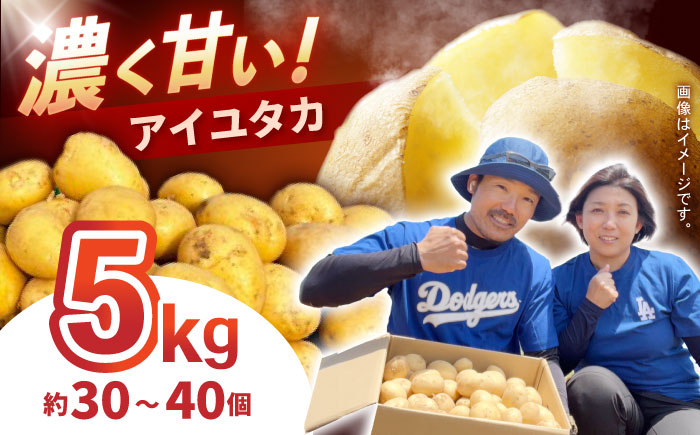 じゃがいも アイユタカ 5kg (S～2Lサイズ/約30～40個) / じゃがいも ジャガイモ ポテト 九州 あいゆたか アイユタカ 野菜 やさい / 諫早市 / スマイルファーム　 [AHFG002]