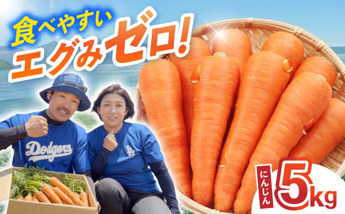 ニンジン 5kg / にんじん ニンジン 人参 野菜 やさい / 諫早市 /スマイルファーム [AHFG013]