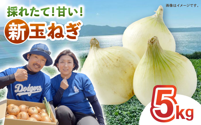 タマネギ 5kg / たまねぎ タマネギ 玉ねぎ 玉葱 玉ネギ 野菜 やさい 新玉 新たま 新玉ねぎ / 諫早市 /スマイルファーム [AHFG014]