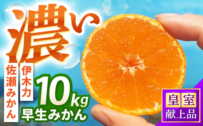 早生みかん　10kg / 諫早市 /伊佐農園 [AHFI012]