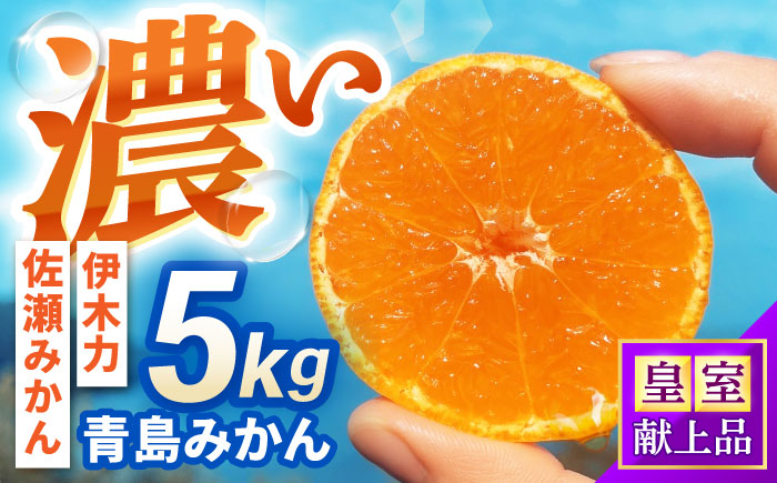 青島みかん 5kg  / みかん ミカン 佐瀬みかん 伊木力みかん 濃い 温州みかん 薄皮 5kg / 諫早市 / 伊佐農園 [AHFI013]