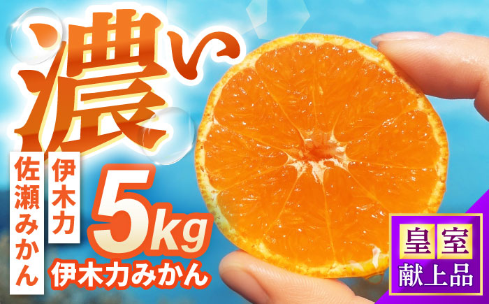 伊木力みかん 5kg  / みかん ミカン 佐瀬みかん 伊木力みかん 濃い 温州みかん 薄皮 5kg / 諫早市 / 伊佐農園 [AHFI015]