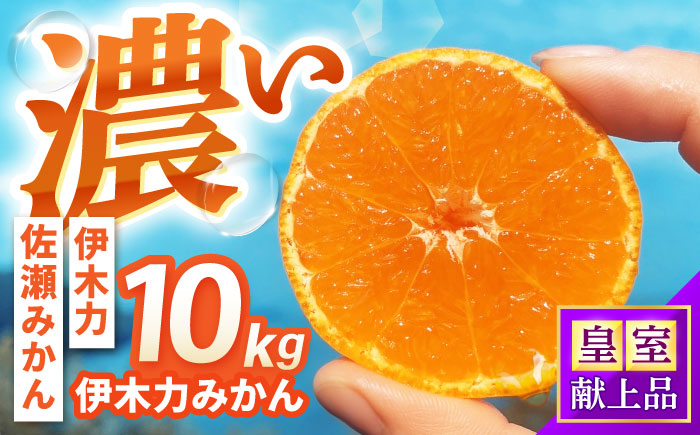 伊木力みかん 10kg  / みかん ミカン 佐瀬みかん 伊木力みかん 濃い 温州みかん 薄皮 10kg / 諫早市 / 伊佐農園 [AHFI016]