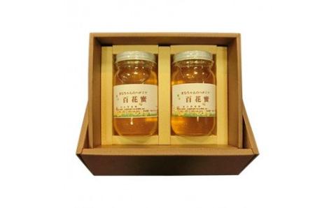 百花蜜300g×2本入り / 百花蜜 百花蜂蜜 蜂蜜 はちみつ ハチミツ / 諫早市 / 諫早観光物産 コンベンション協会 [AHAB032]