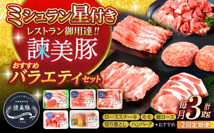 [2回定期便]諫美豚おすすめバラエティセット3kg / 諫美豚 豚肉 肩ロース ステーキ モモ 切り落とし ハンバーグ ロースステーキ / 諫早市 / 株式会社土井農場 [AHAD001]