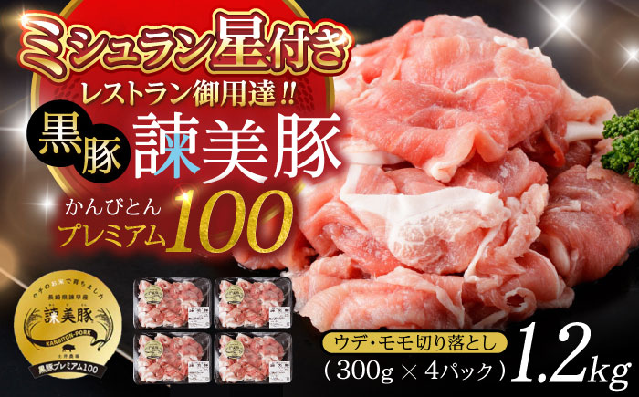 黒豚諫美豚プレミアム100 切り落とし 計1.2kg(300g×4P)/ 豚 豚肉 黒豚 切り落とし 小分け / 諫早市 / 株式会社土井農場 [AHAD046]