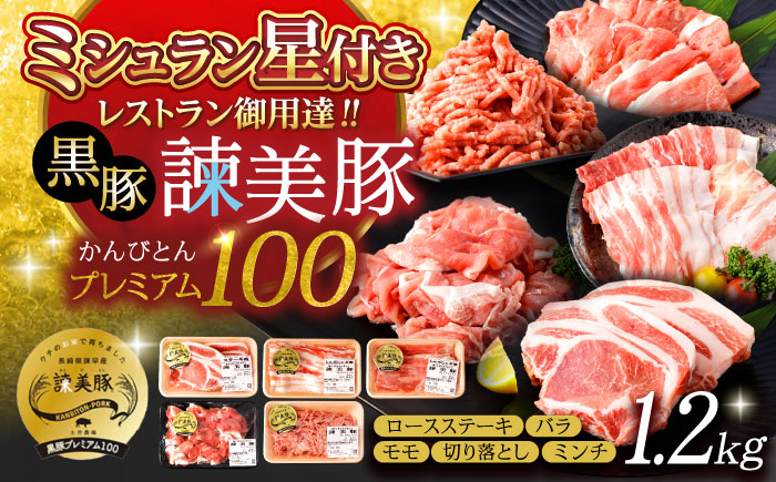 黒豚諫美豚プレミアム100おすすめセット1.2kg / 諫美豚 豚肉 肩ロース ステーキ モモ 切り落とし ハンバーグ ロースステーキ / 諫早市 / 株式会社土井農場 [AHAD047]