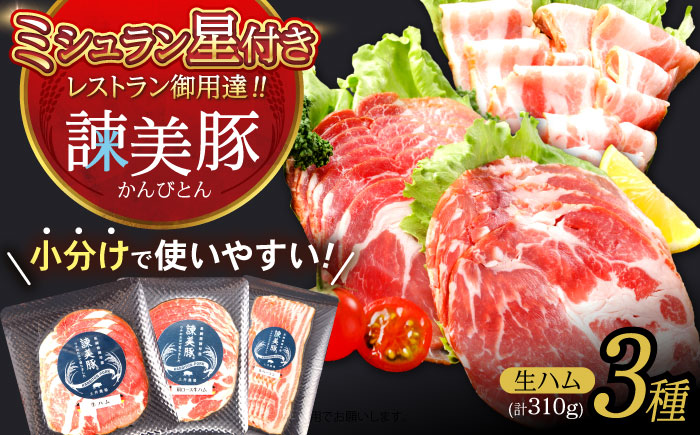 諫美豚生ハム&生ベーコン3種セット計4P / 豚肉 ハム 生ハム ベーコン 生ベーコン ロース 肩ロース バラ 小分け / 諫早市 / 株式会社土井農場 [AHAD058]