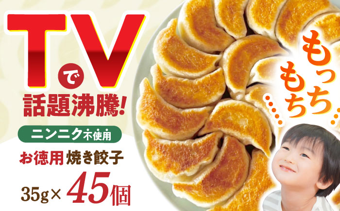 かわしも焼き餃子 大容量 45個入 / ギョウザ ぎょうざ 餃子 焼餃子 加工品 / 諫早市 / 餃子のかわしも [AHBM003]