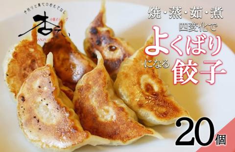 焼・蒸・茹・煮 四変化のよくばり餃子 20個 / 餃子 ぎょうざ ギョウザ ギョーザ 国産 冷凍 / 諫早市 / 杏てい [AHBT002]