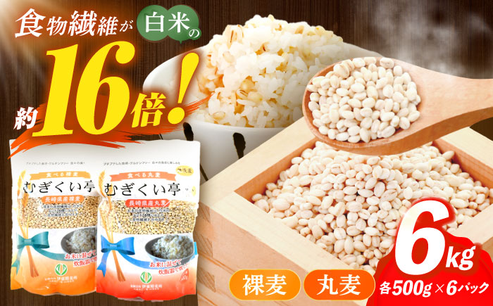 [最速発送]むぎくい亭(丸麦500gx6・裸麦500gx6) / 麦 丸麦 はだか麦 麦味噌 雑穀 雑穀米 / 諫早市 / 有限会社伊東精麦 [AHBU002] スピード 最短 最速 発送