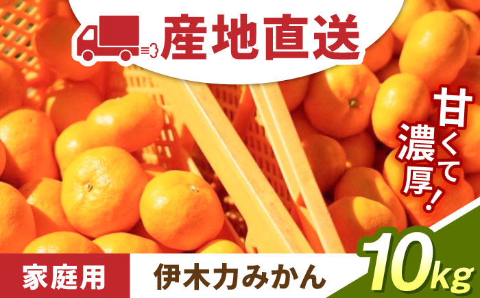 [先行予約][伊木力みかん]家庭用みかん(10kg) / みかん ミカン 蜜柑 フルーツ 果物 柑橘 / 諫早市 / 山野果樹園 [AHCF001]