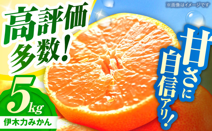 伊木力みかん(家庭用)5kg / みかん ミカン 蜜柑 フルーツ 果物 / 諫早市 / 山野果樹園 [AHCF002]