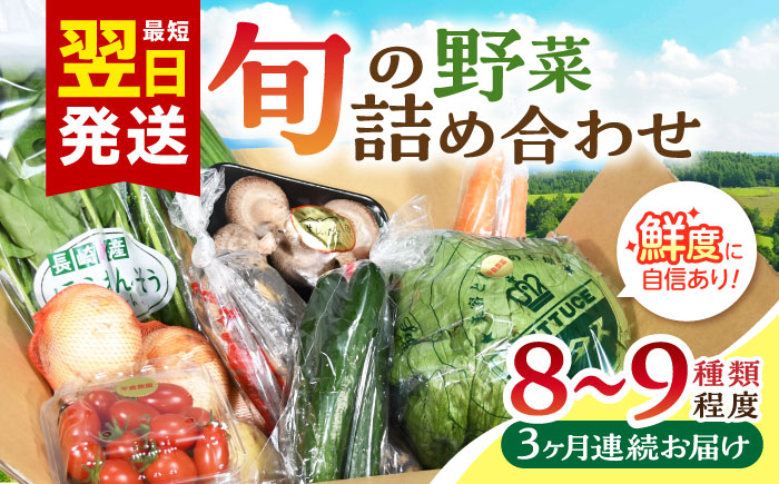 [3回定期便]諫早産野菜の詰め合わせ(8〜9品目程度) / 季節 旬 野菜 春野菜 夏野菜 秋野菜 / 諫早市 / 肥前グローカル株式会社 [AHDI001]