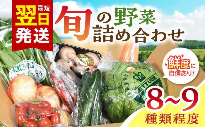 諫早産野菜の詰め合わせ(8〜9品目程度) / 季節 旬 野菜 春野菜 夏野菜 秋野菜 / 諫早市 / 肥前グローカル株式会社 [AHDI004]