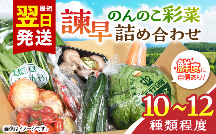 諫早のんのこ彩菜・詰め合わせセット / 季節 旬 野菜 春野菜 夏野菜 秋野菜 / 諫早市 / 肥前グローカル株式会社 [AHDI005]