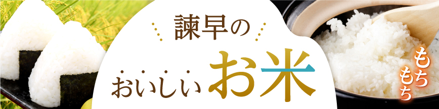 諫早のおいしいお米