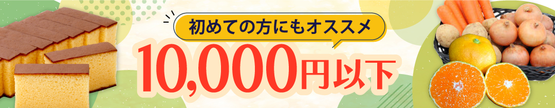 寄附額10,000円以下