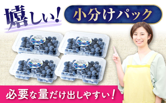 【2026年7月上旬頃より順次発送予定】生ブルーベリー 1kg（250g×4袋）/ ベリー べりー ブルーベリー ぶるーべりー 生 小分け 果物 くだもの フルーツ ふるーつ / 大村市 / おおむら夢ファームシュシュ[ACAA005]