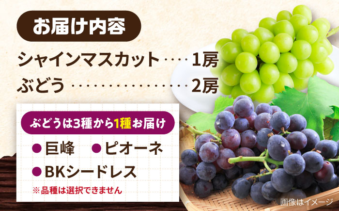 【2026年8月中旬より順次発送予定】シャインマスカット・ぶどうセット 約1.5kg / 先行予約 シャインマスカット しゃいんますかっと マスカット ますかっと ブドウ ぶどう 葡萄 フルーツ ふるーつ 果物 くだもの / 大村市 / おおむら夢ファームシュシュ[ACAA007]