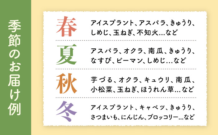 シュシュの農産物直売所から直送 野菜・果物の詰合せ / 野菜 やさい 果物 くだもの フルーツ ふるーつ 産地直送 / 大村市 / おおむら夢ファームシュシュ[ACAA032]