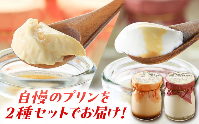 【6回定期便】シュシュプリンとジャージーみるくプリンセット 6個/月（計36個）/ プリン スイーツ ミルク ジャージ?牛乳 /  大村市 / おおむら夢ファームシュシュ [ACAA313]